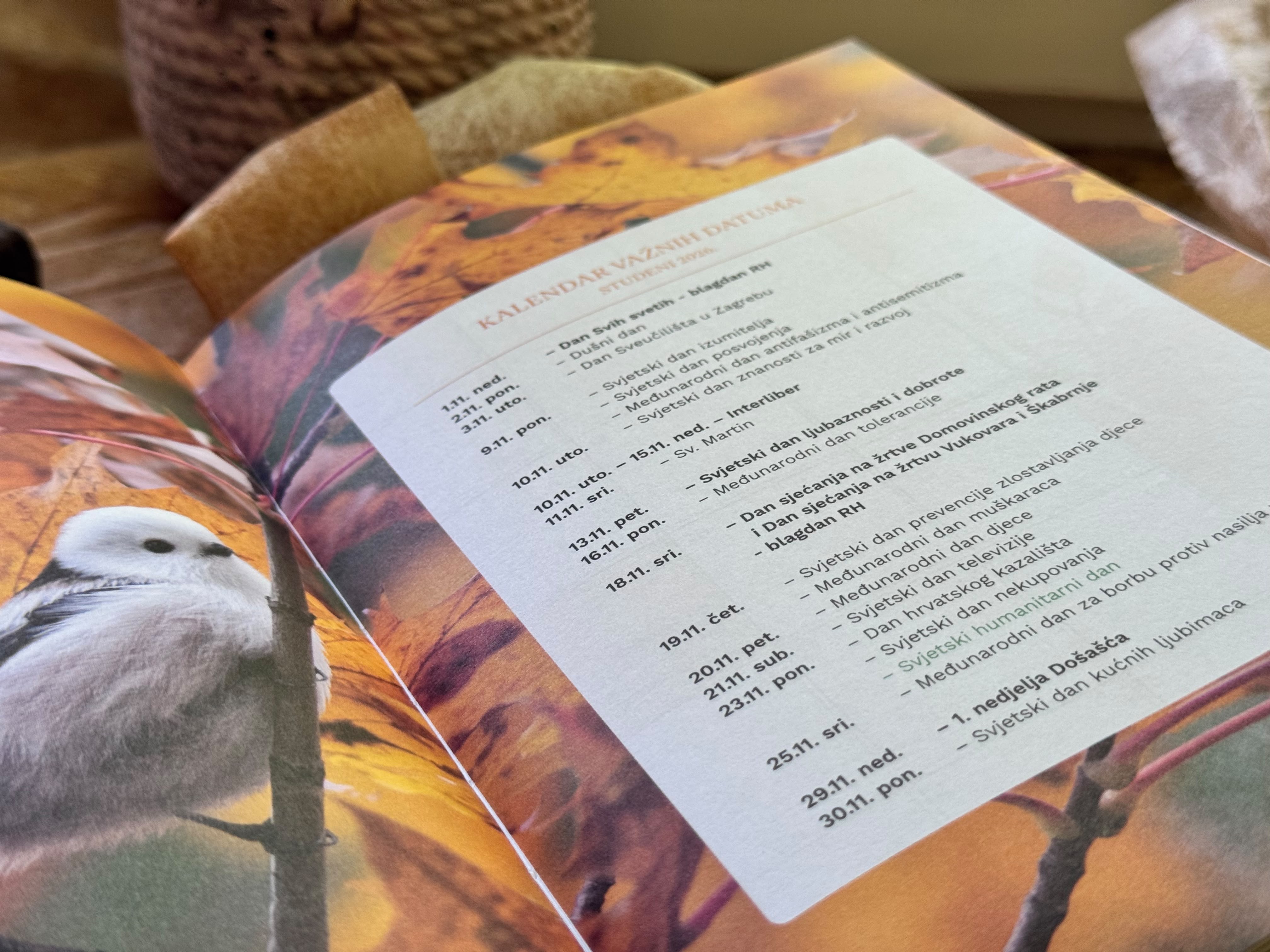Pedagogico planer — fotografija 1