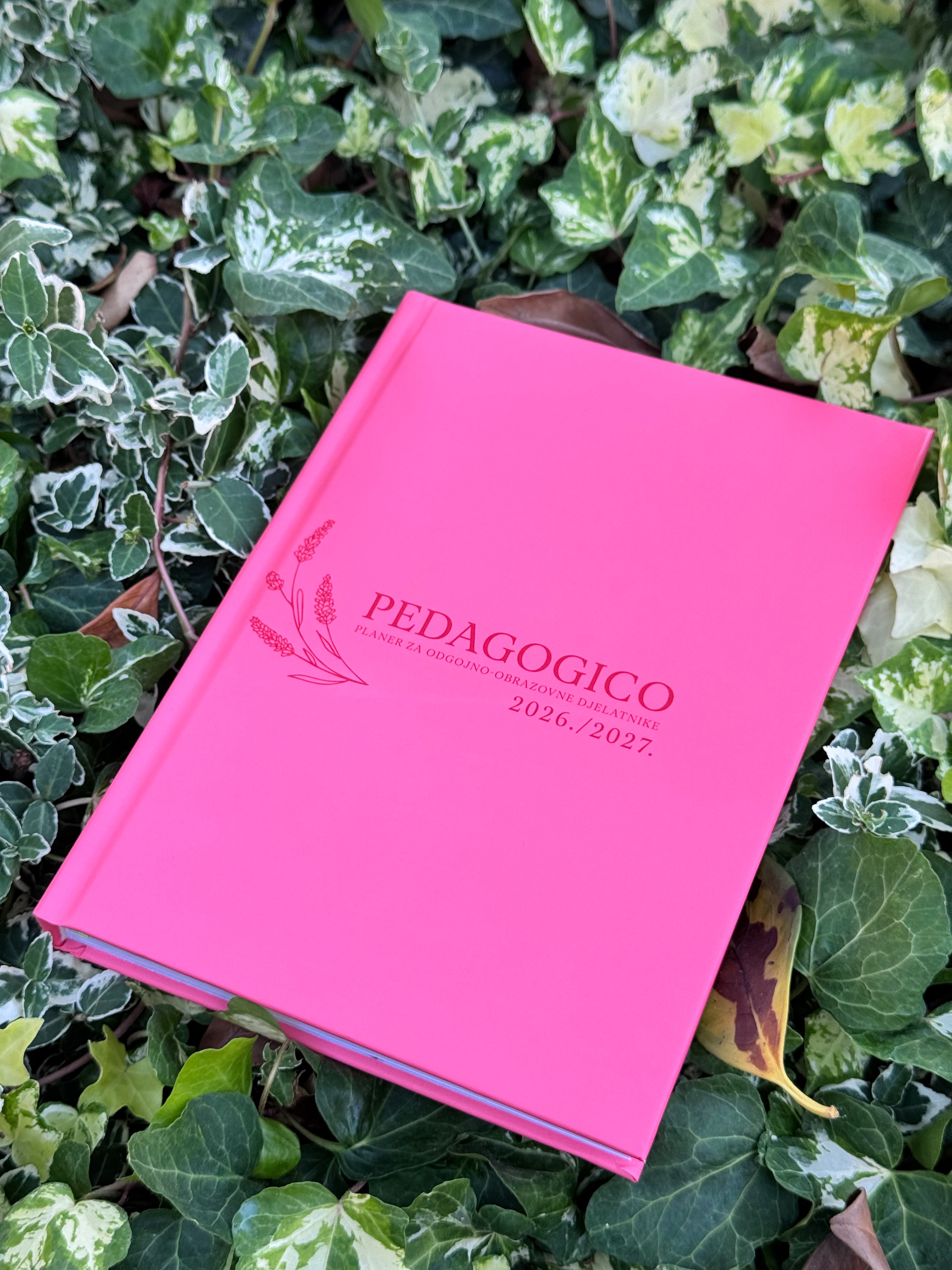 Pedagogico planer — fotografija 10