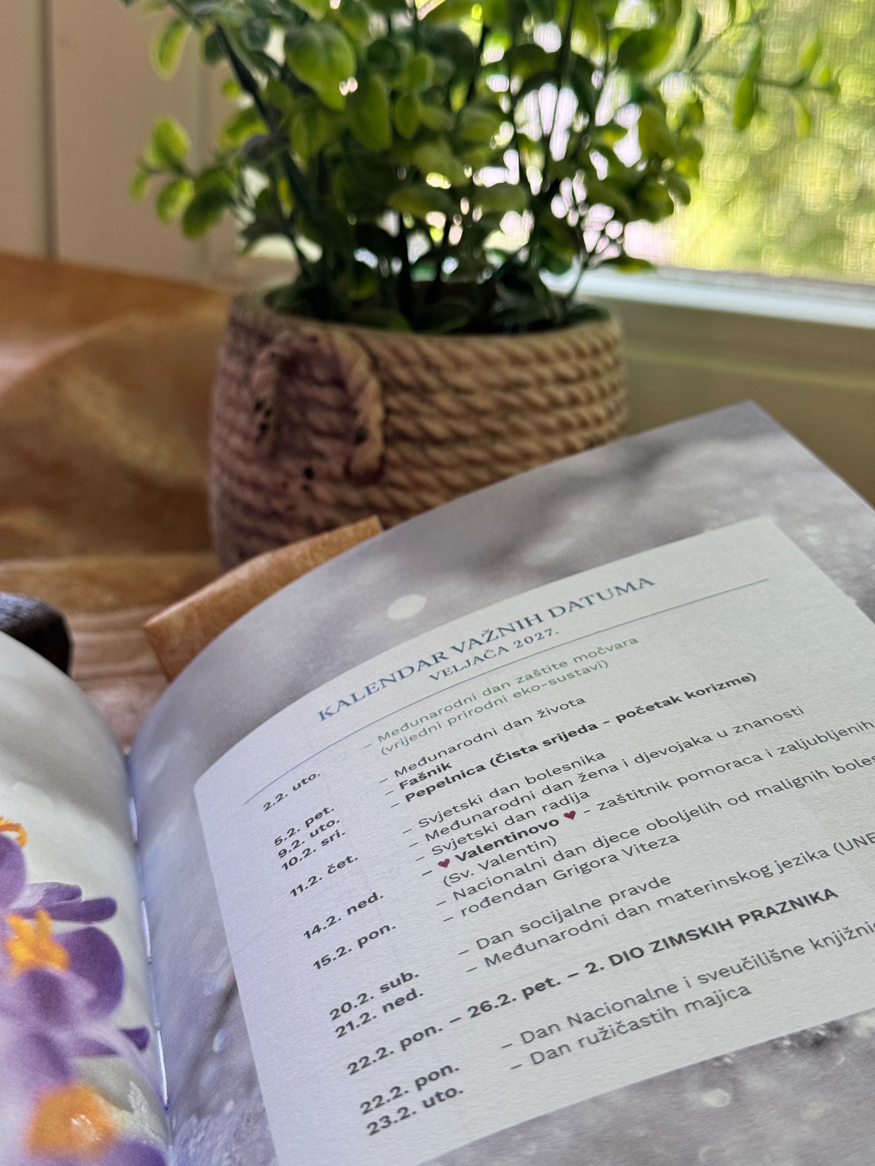 Pedagogico planer — fotografija 11