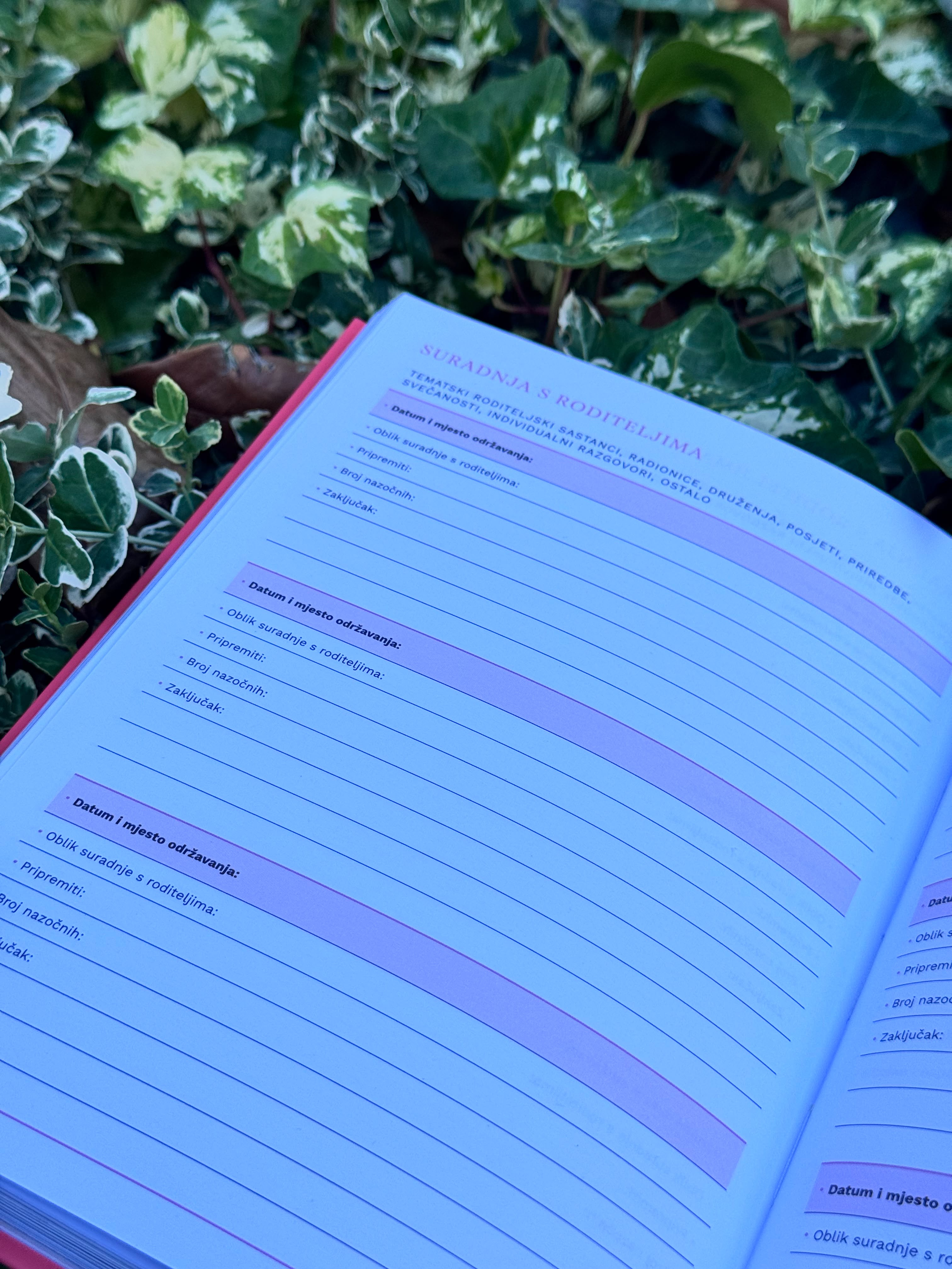 Pedagogico planer — fotografija 13