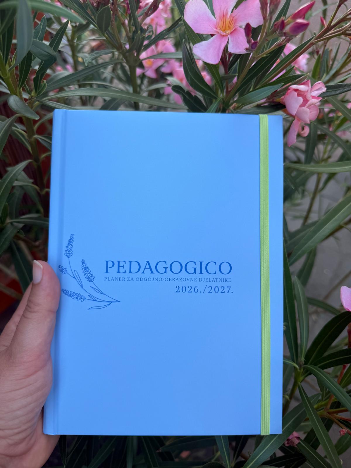 Pedagogico planer — fotografija 14