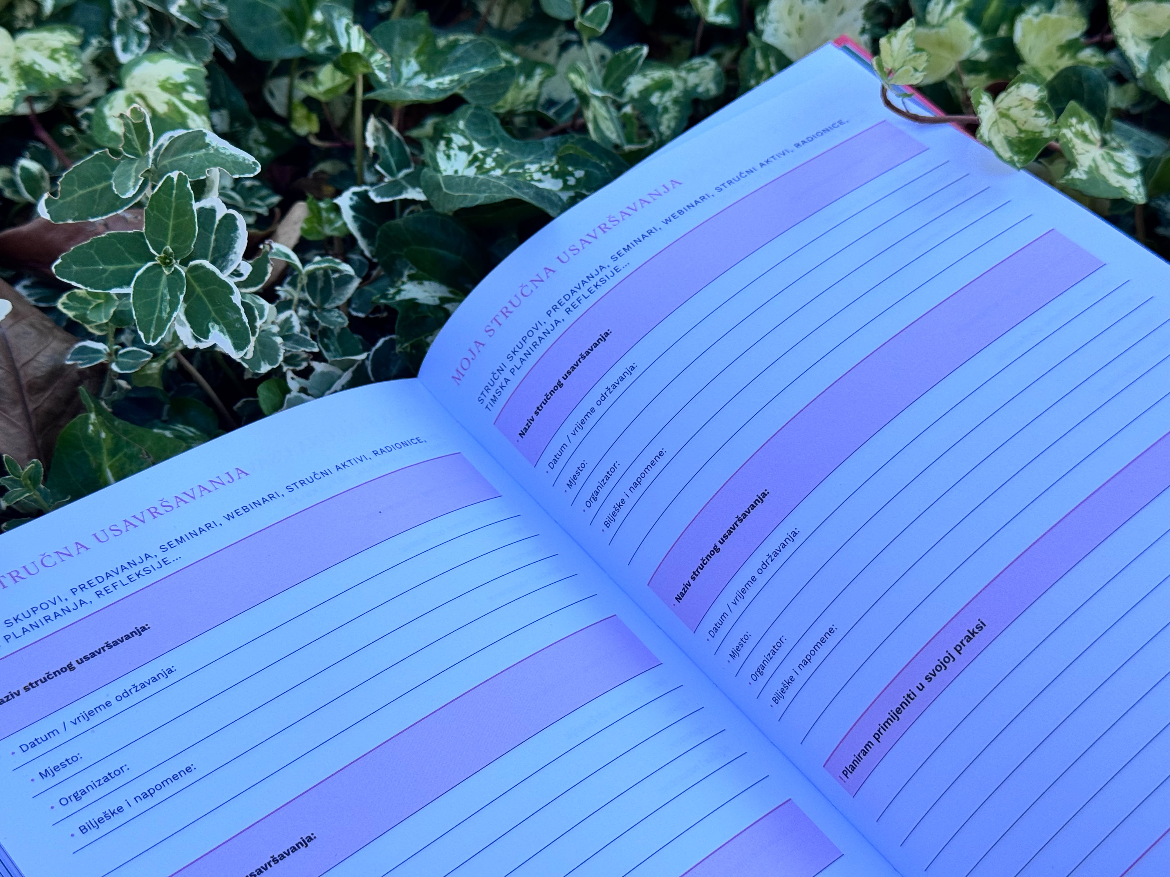 Pedagogico planer — fotografija 16