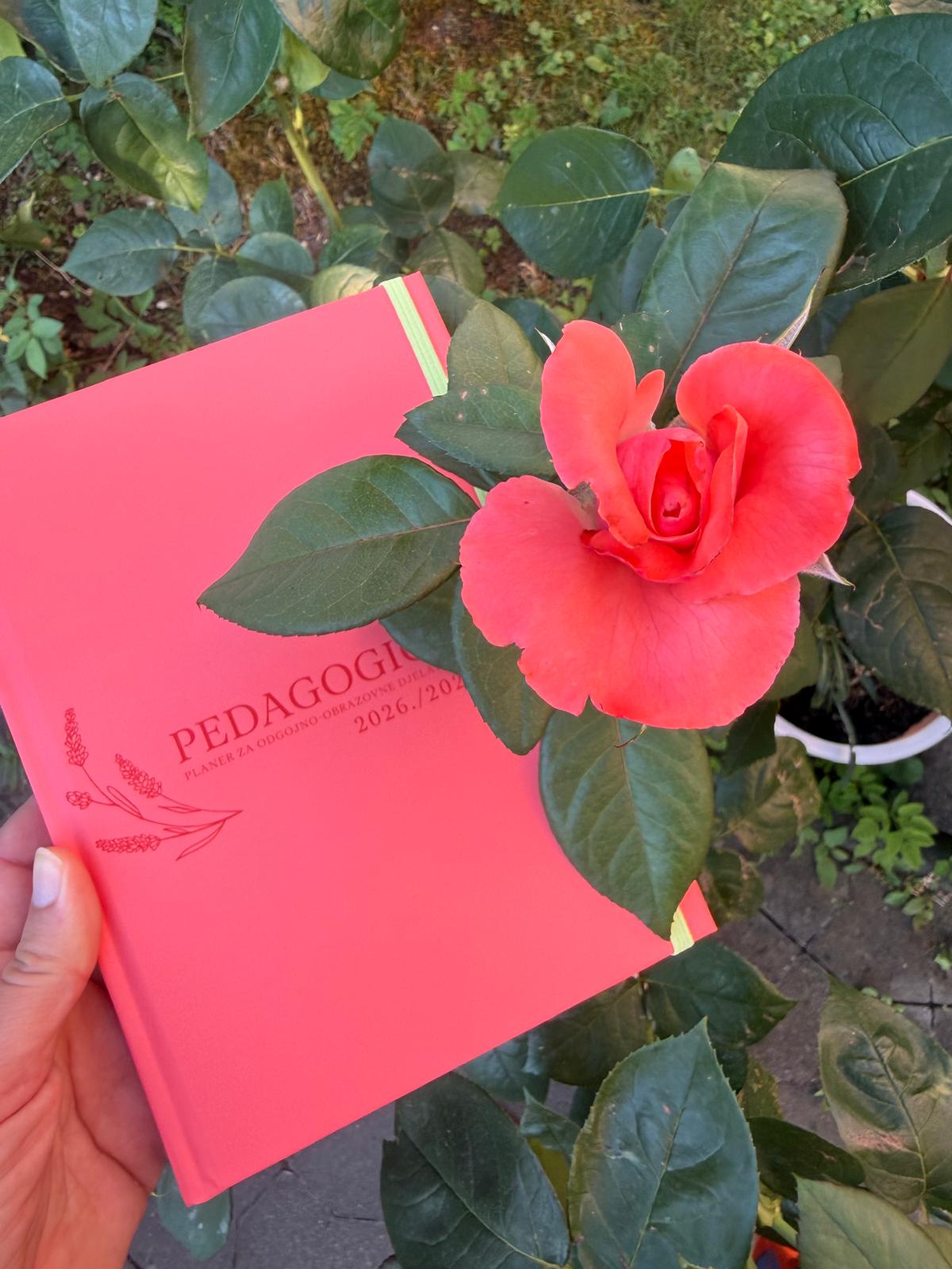 Pedagogico planer — fotografija 2