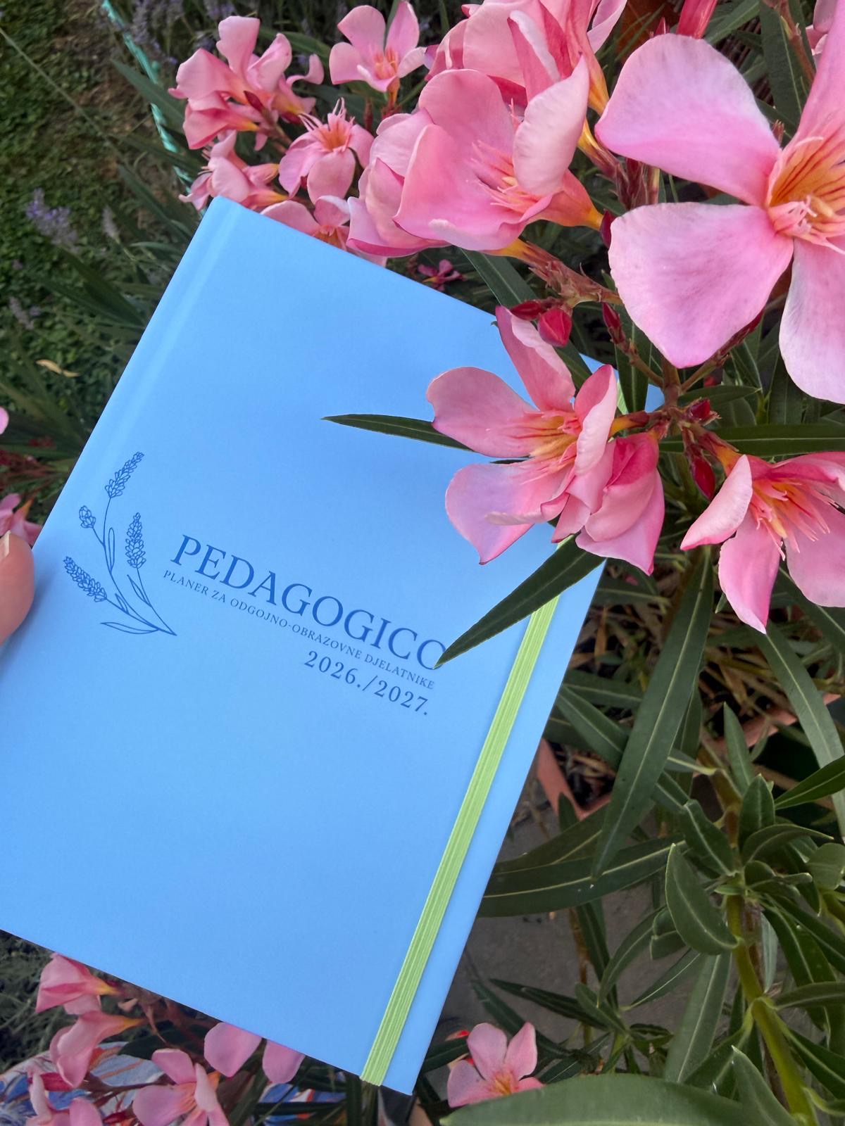 Pedagogico planer — fotografija 20