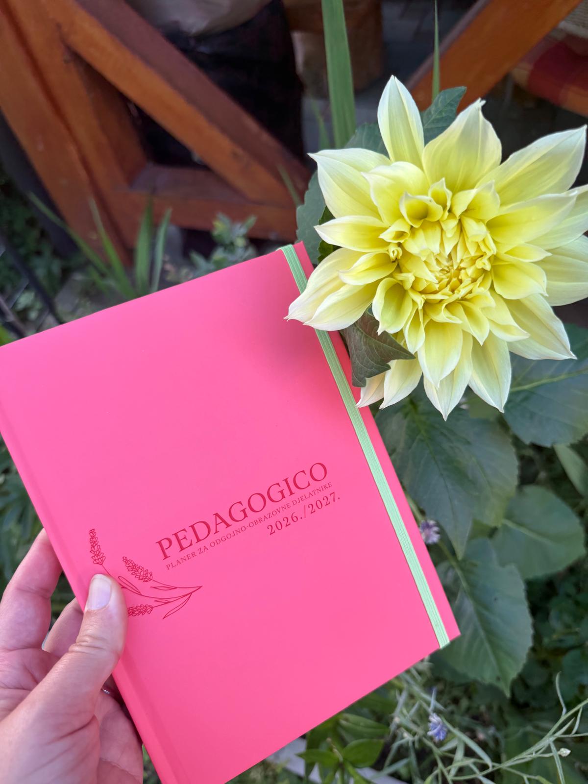 Pedagogico planer — fotografija 21