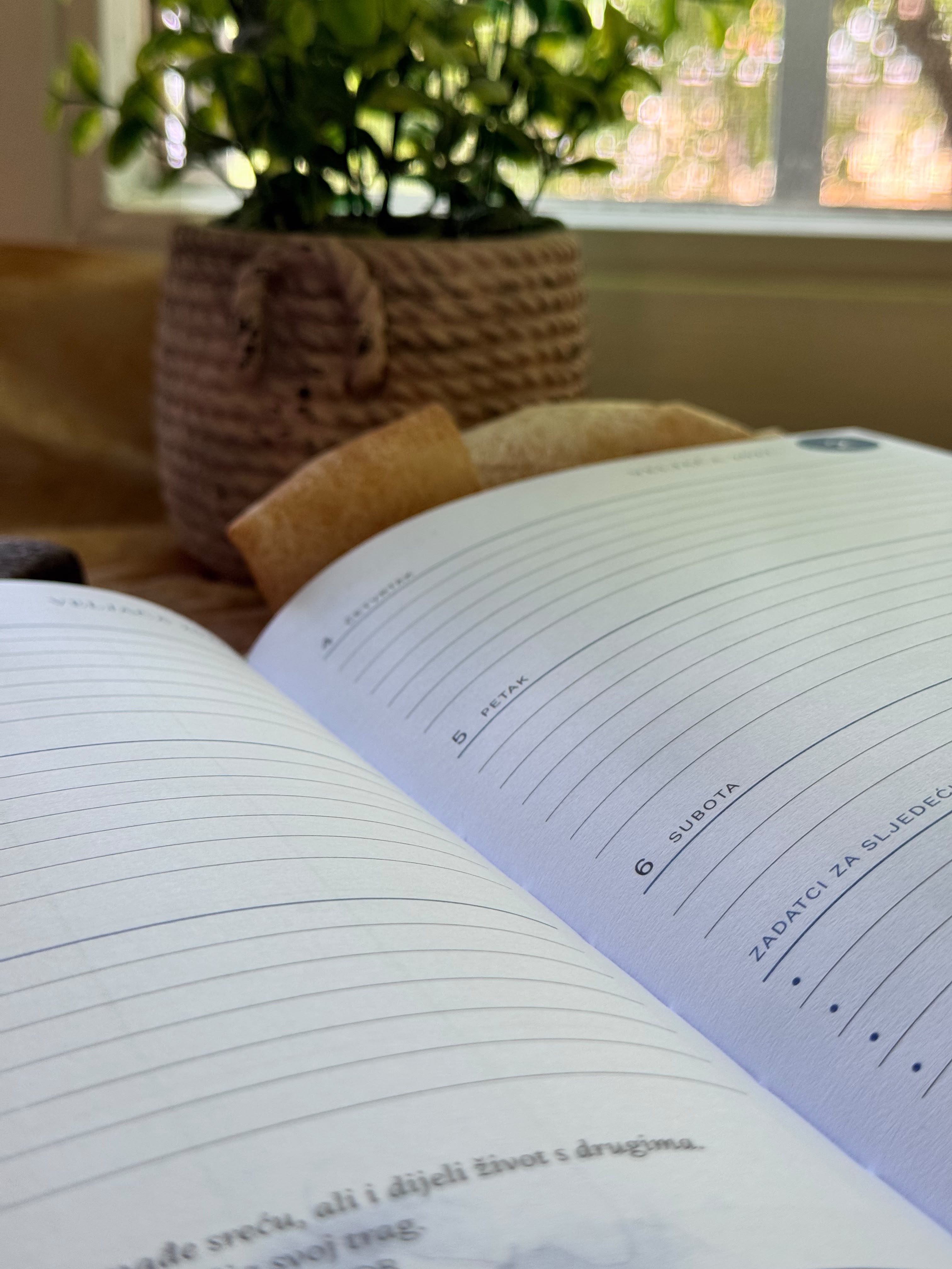 Pedagogico planer — fotografija 4